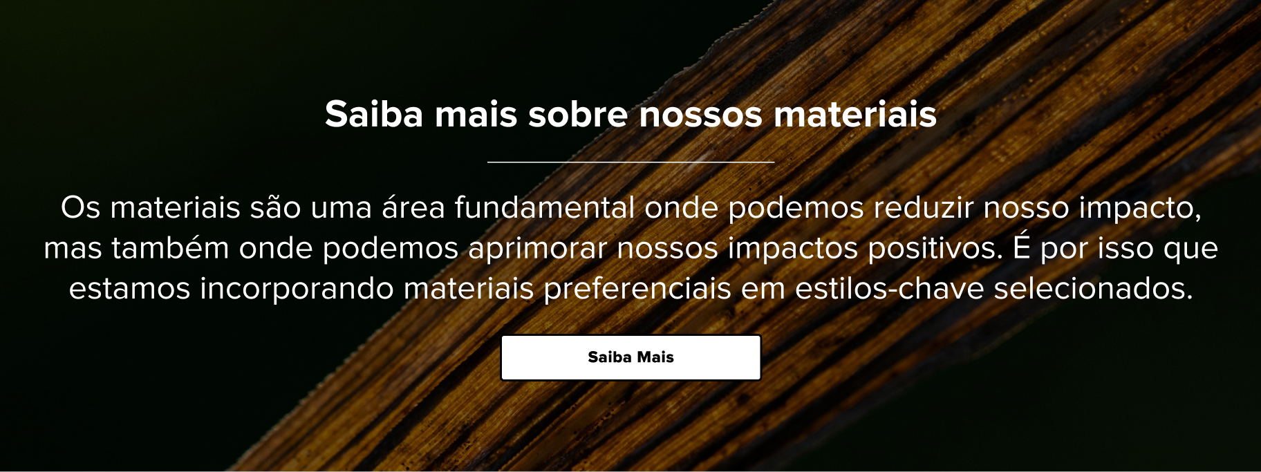 Banner Bottom Nosso Propósito 1