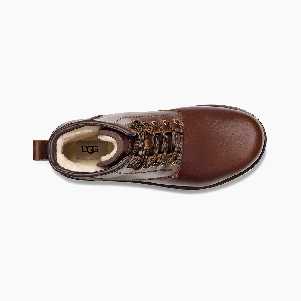 image_60dc01b4-6b24-4597-80e0-b3a7254f84bb