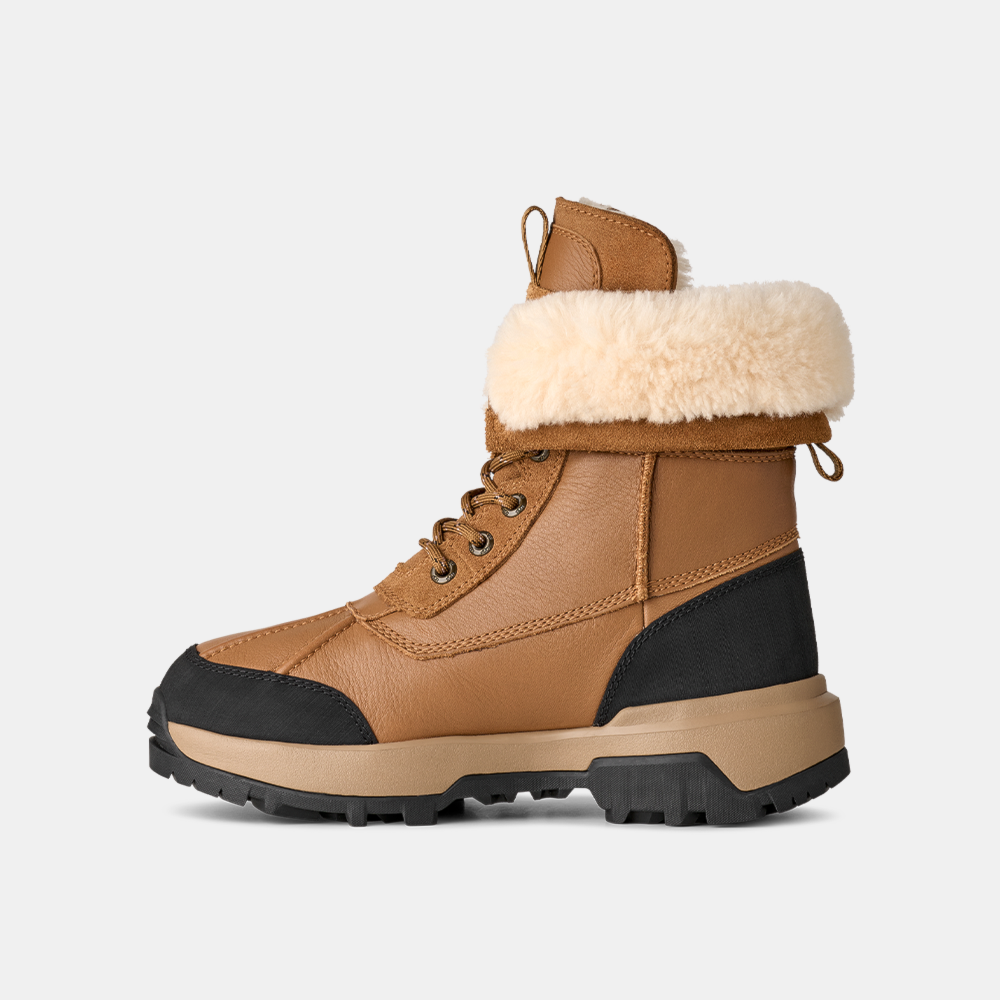 image_347a4082-4e1c-4f17-acf4-cc643cadc584