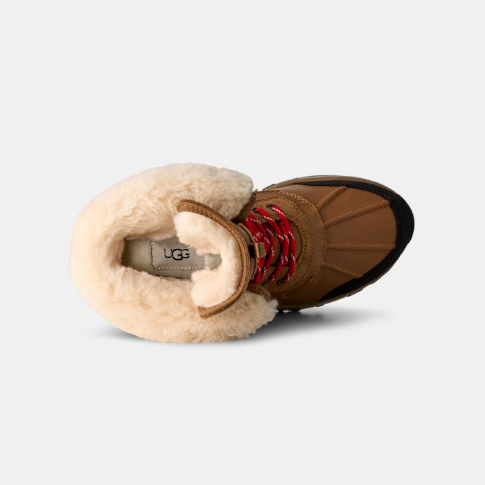 image_2b9c2238-5d70-4939-9516-00451aadf7cd