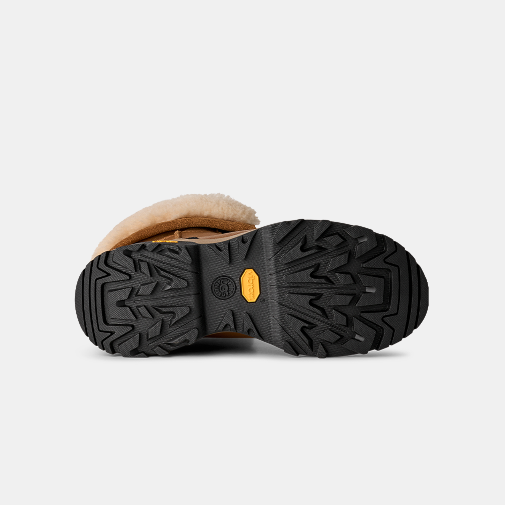 image_b1ebf7ce-65f6-42ed-8ca9-9a98a45c18b9