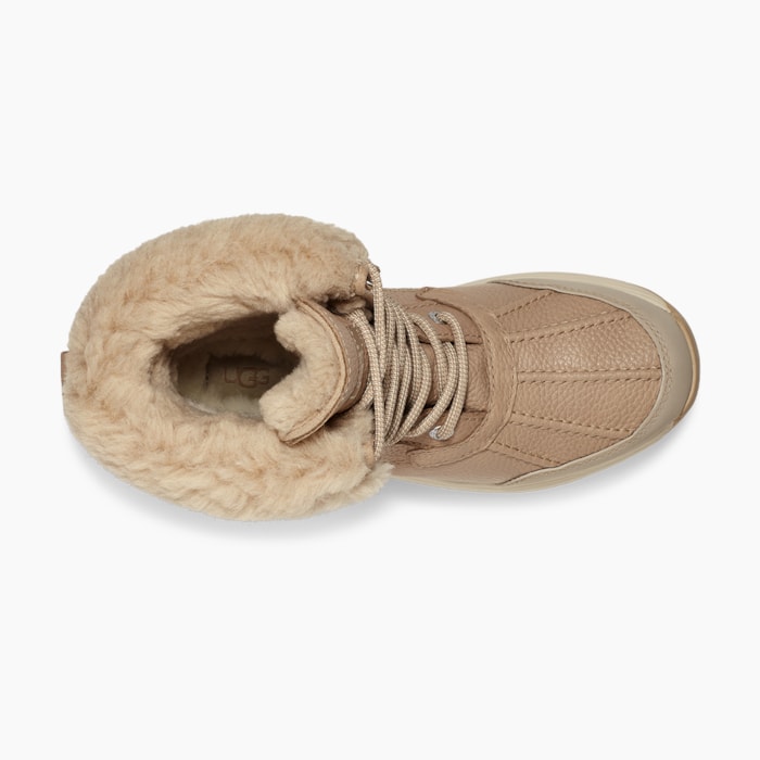 image_3e204336-fdb5-41e6-8532-0a847f0dd864