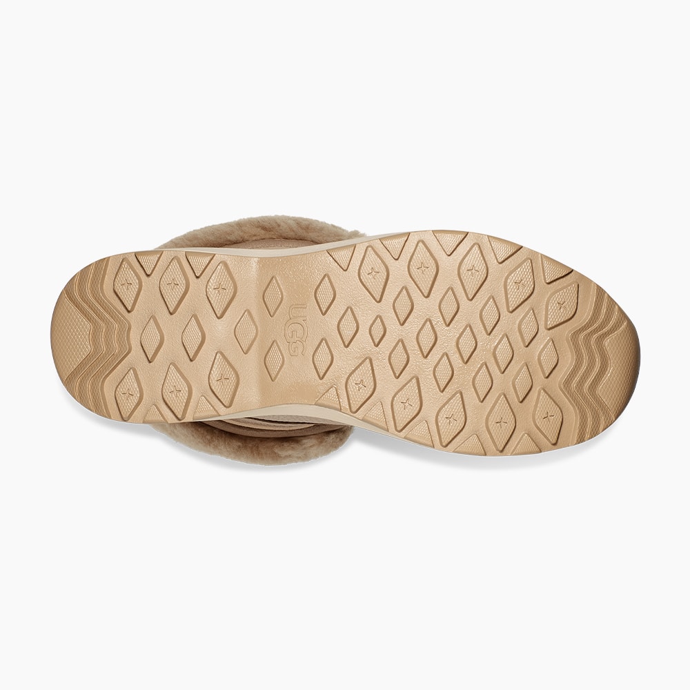 image_421047fe-3637-4fb3-b3a0-41fcb6dd191e