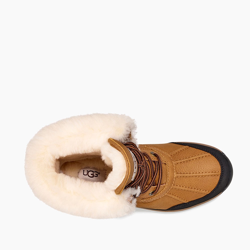 image_868e755a-f14e-471a-883e-1bccc5283655