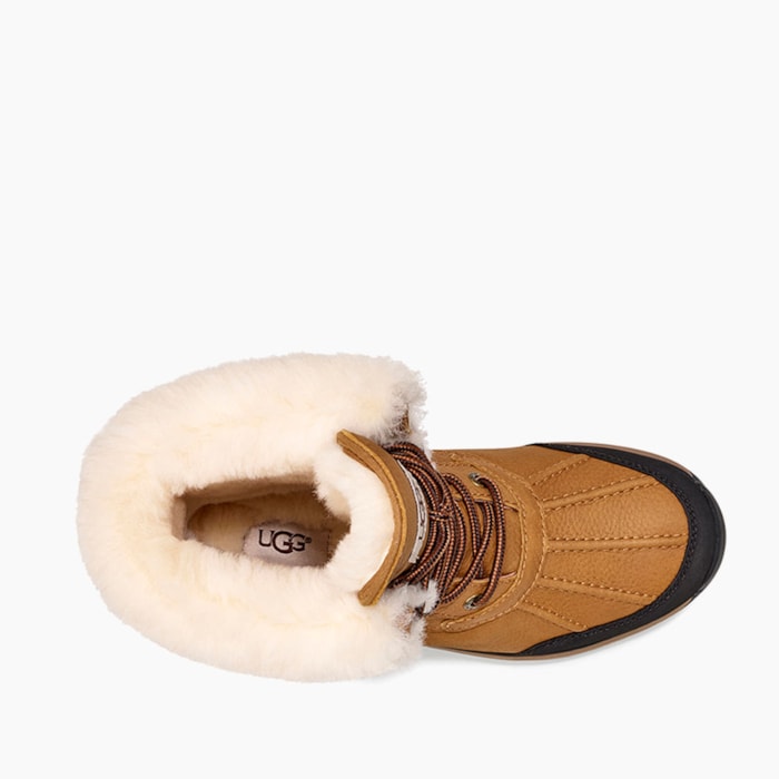 image_80d29e55-d84c-4b0f-aaa9-d88f8f9b44c1