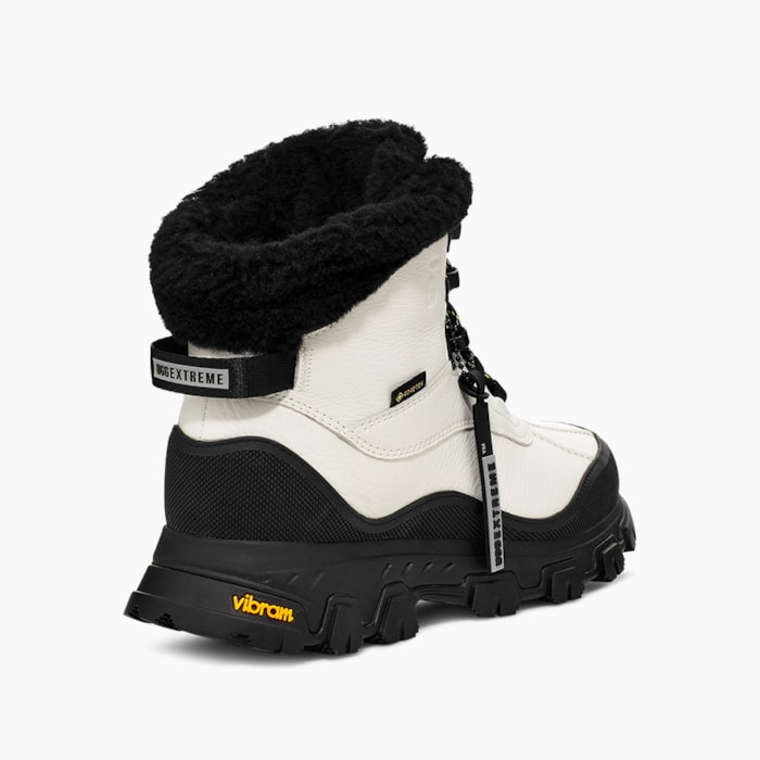 image_8562e269-bf5b-4174-beb0-fc8607b43569