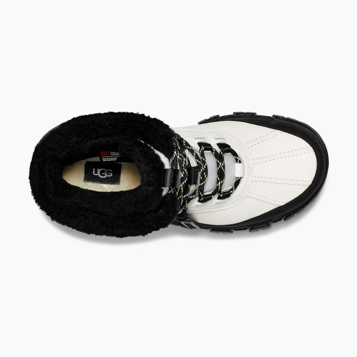 image_bc35dfd1-4891-4329-a84c-8db5a978cae8