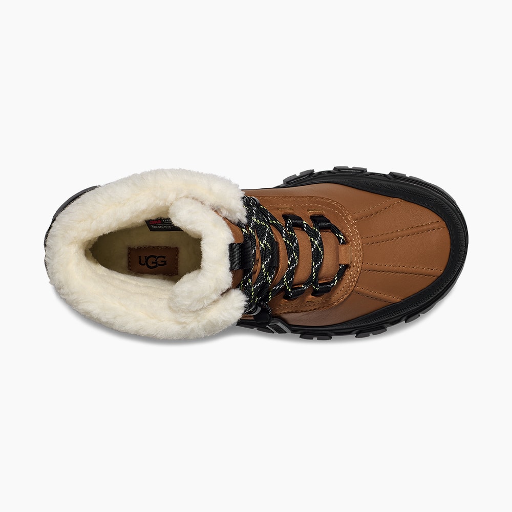 image_78aa6a05-d4f9-49c6-aec1-b9ab39ecf2c2