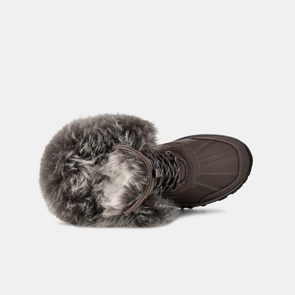 image_da0fc597-0736-4498-83a7-f4602de2dceb