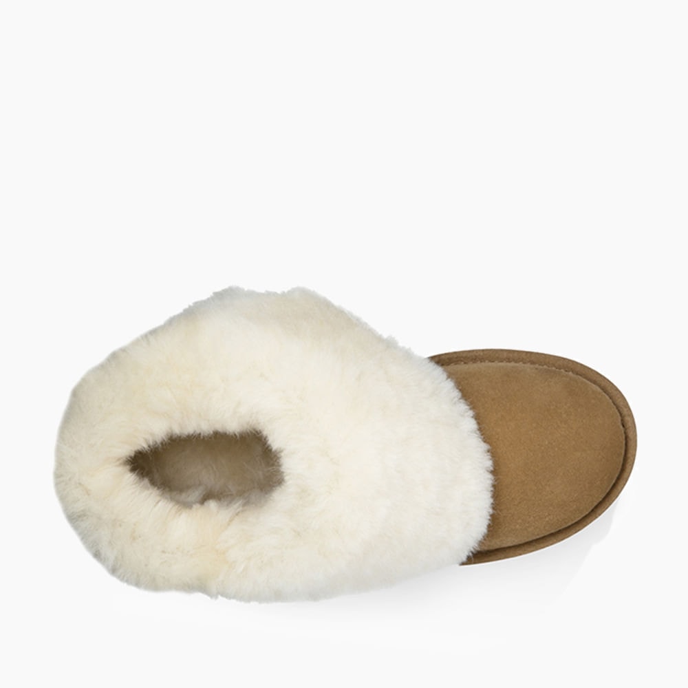 image_504b3bf1-b1b9-4395-96aa-8e4f238f6c62