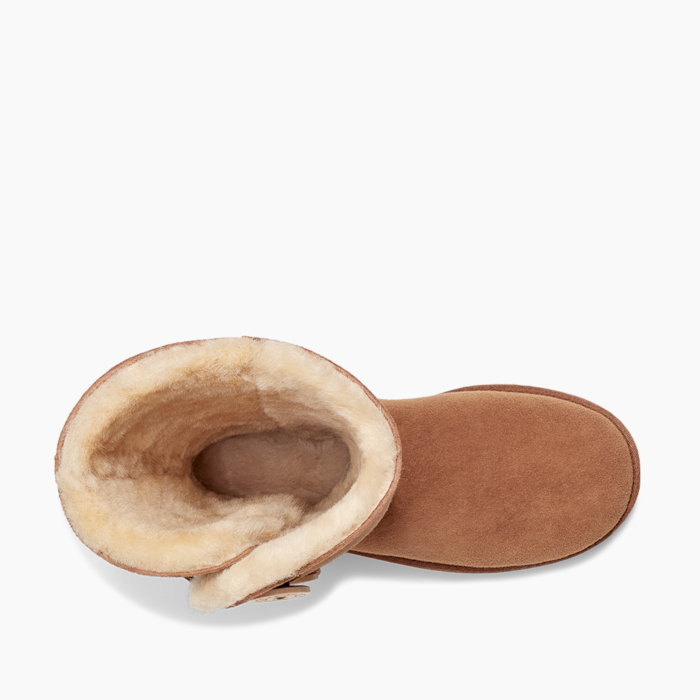 image_a79bfbf7-896c-4b86-bca0-c15813aa073d