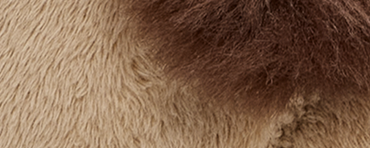 image_26d4a732-1a47-417a-8b68-207c661de59a