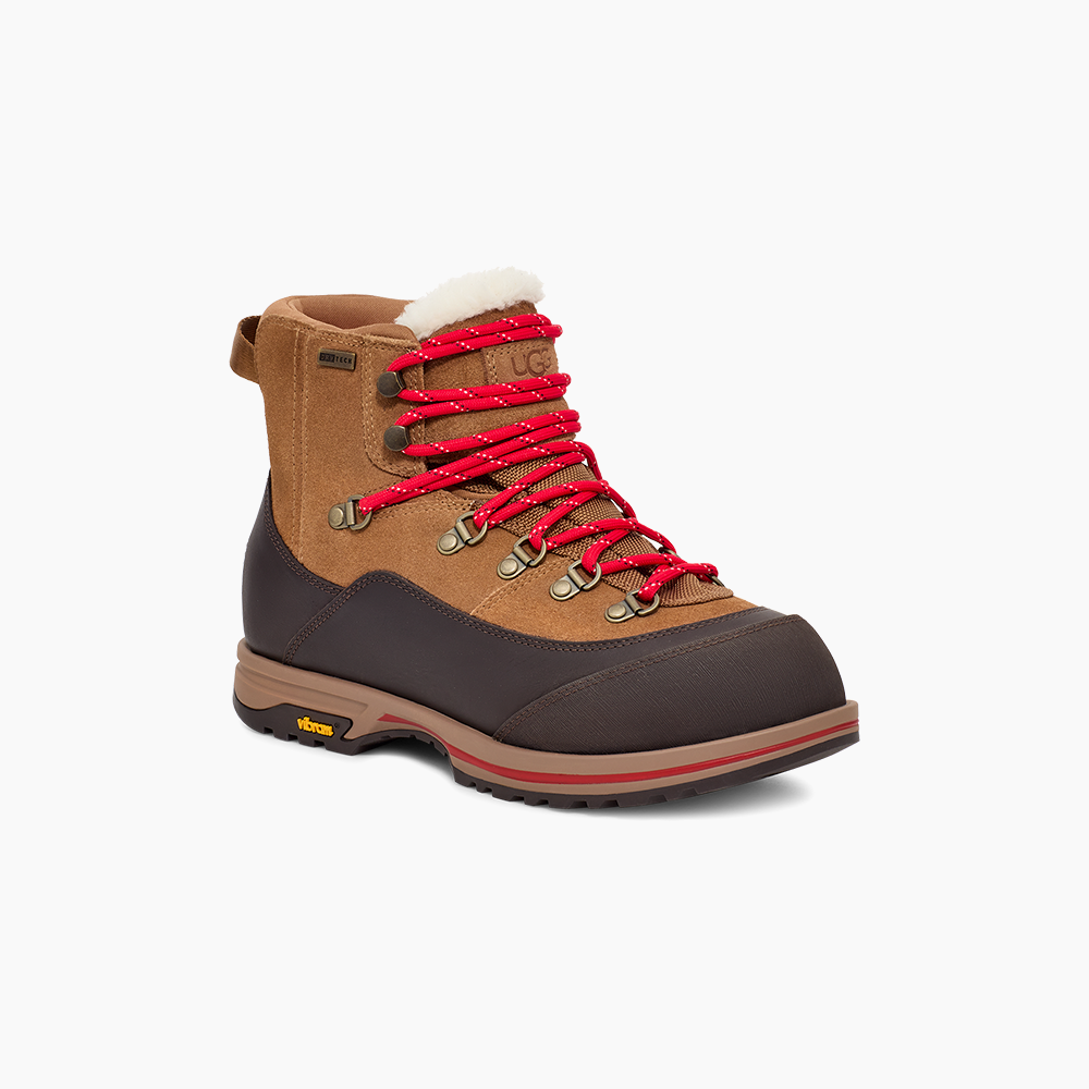 Bota UGG Brecken Lace Caramelo