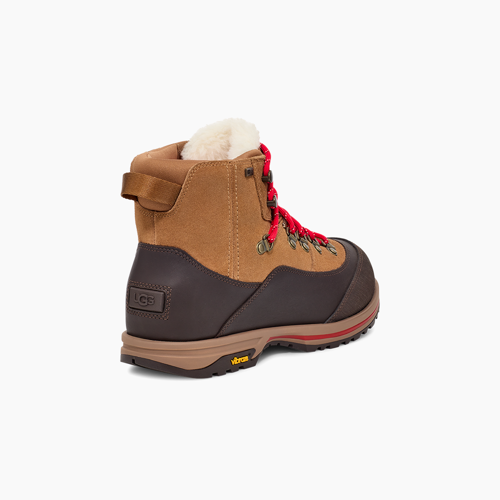 image_8c223aff-fcb0-4d7e-b4e8-1622170510fb