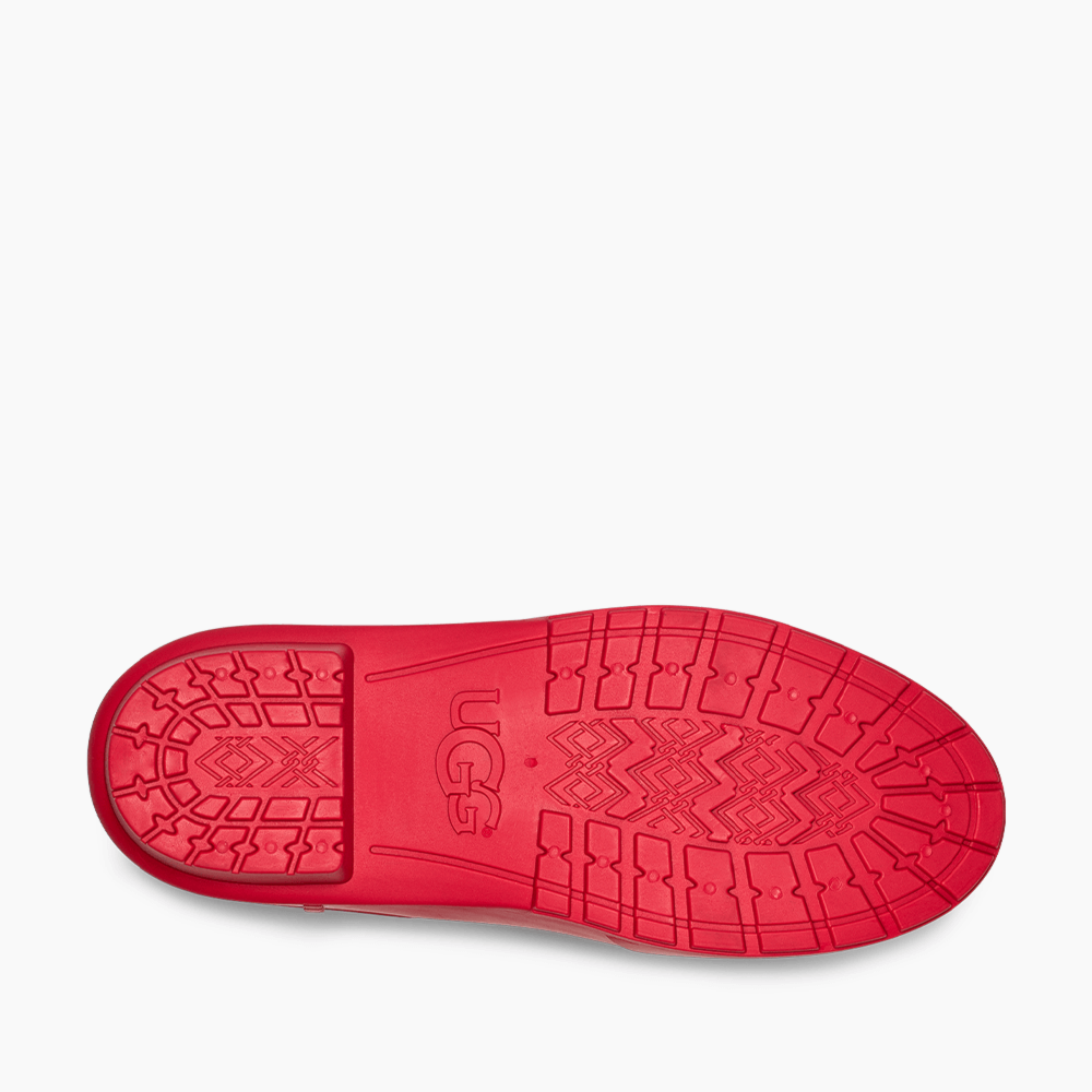 image_73204851-4bf9-4e17-acec-6bc856a724de