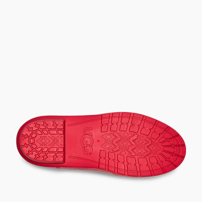 image_1b30a052-aff6-4236-a964-b3ecb42c13a2