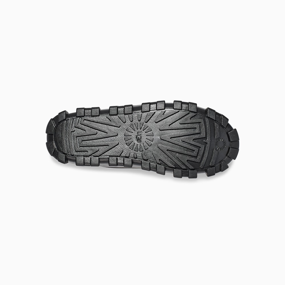 image_eba922e7-8ff3-4e2e-a8d7-bdc50ca2a08f