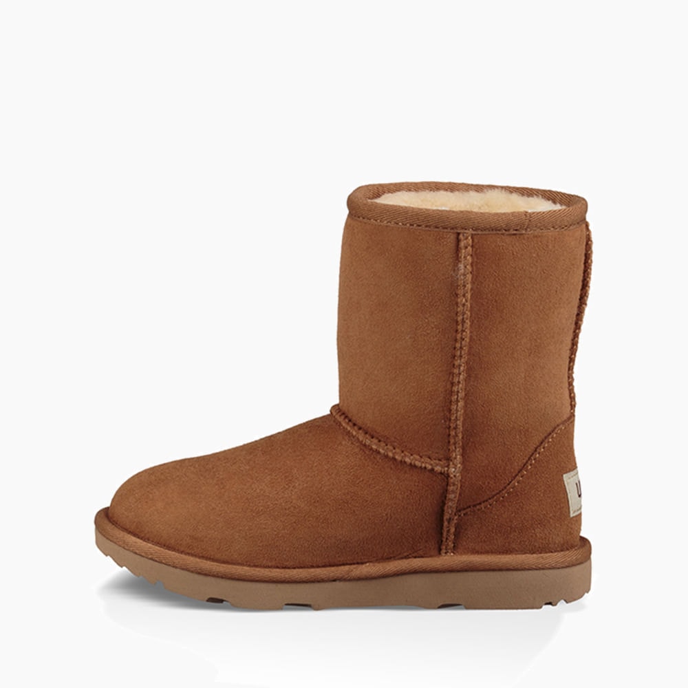 image_0eb7c4ed-7a65-4438-957d-6e3f41c522e5