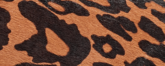 image_482916d0-b8be-475f-bee9-c7583d4de704