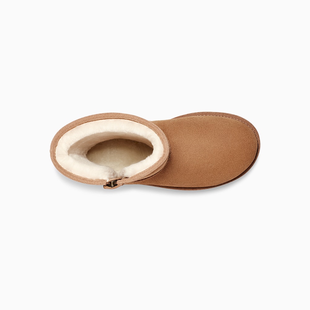 image_6e5da374-a105-4106-9b5e-4d053cbe737c