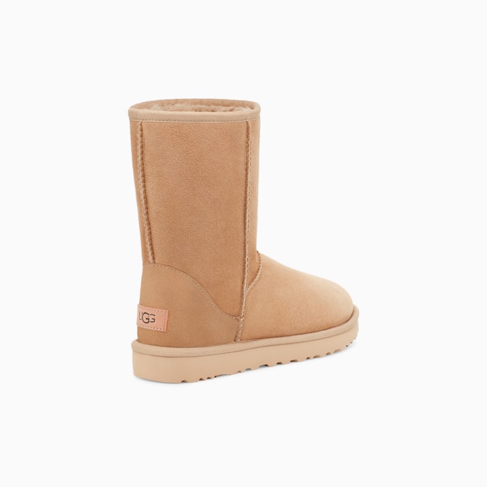 image_3208cd76-f1e3-4b1f-bd2c-f1a83f17be48