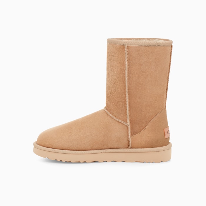 image_ced297f1-d86e-4106-8359-f8c7b05d3910