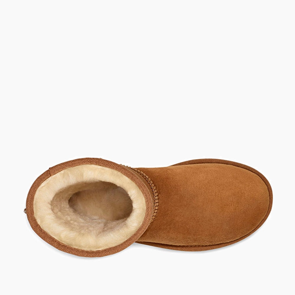 image_e50dd77e-193c-41bd-b595-2975affb73f8