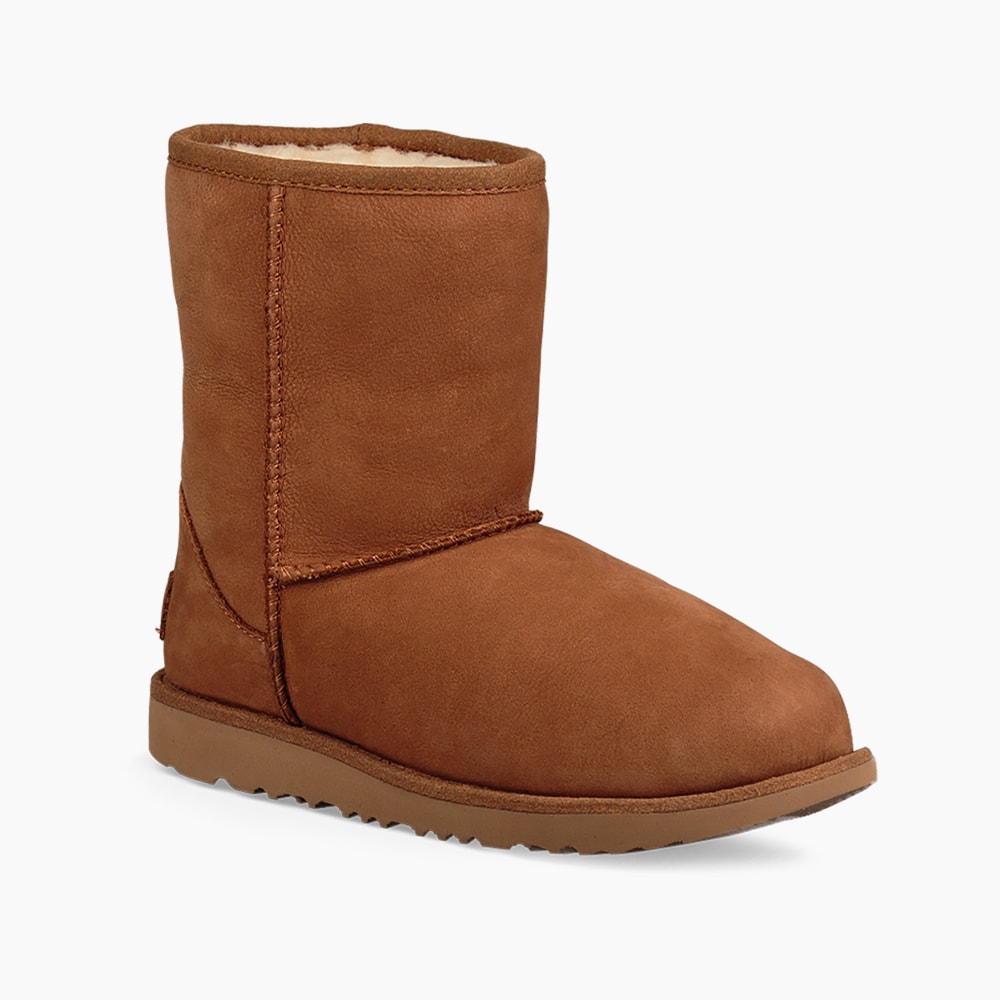 image_827ce8dd-d5d0-4561-907e-a1971551b994