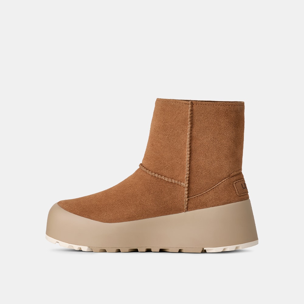 image_231dd2e9-62a3-46ab-9b6e-0f08d0ed31df