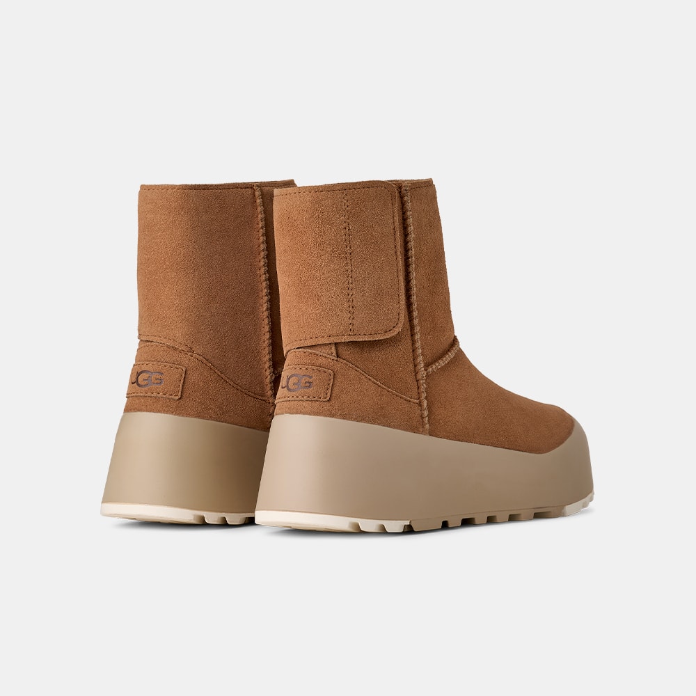 image_1d178eb7-8bd9-454a-a356-e5f2eed587e8