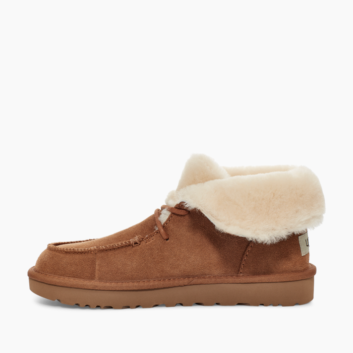 image_2cdf6083-8fce-4e19-9f0b-f88ab23b07c9