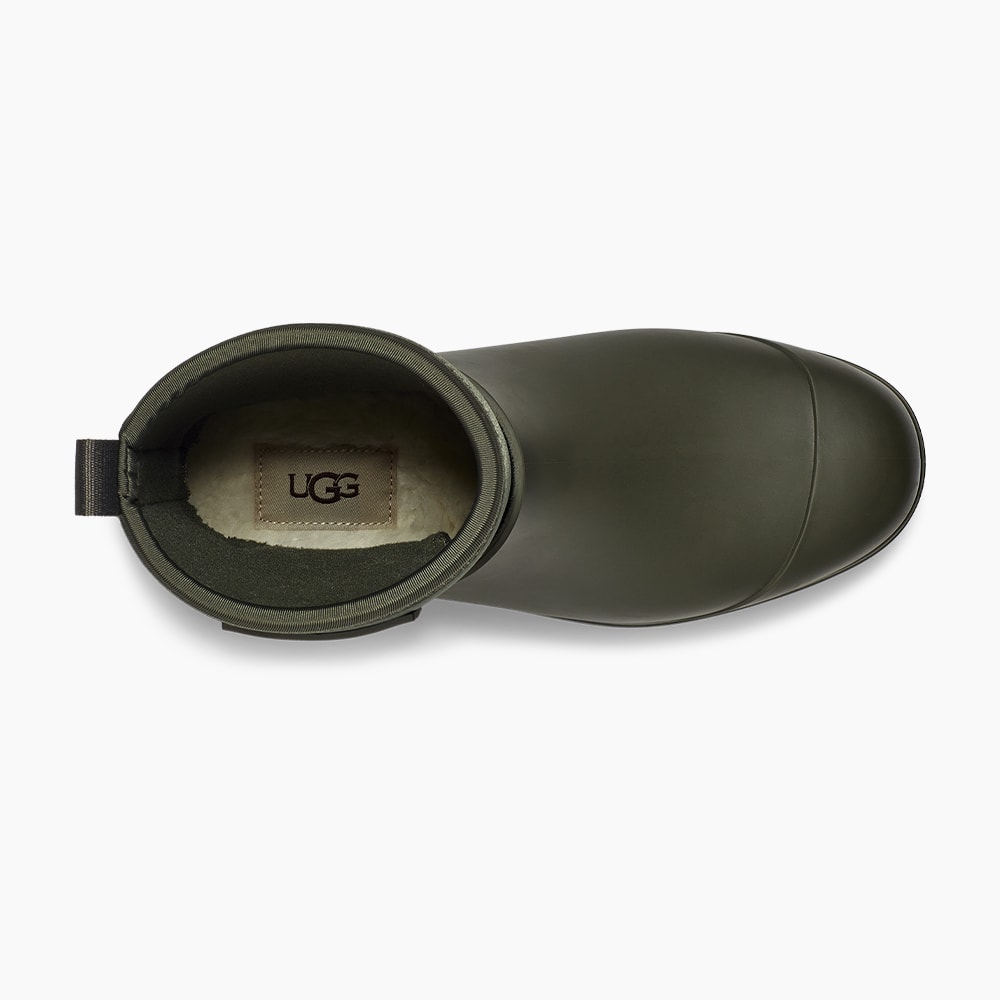 image_ab0a913d-af84-4922-907c-72909e68ec96