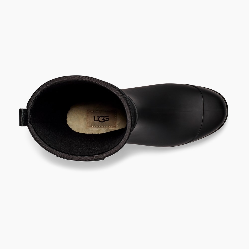 image_288c34e3-a08b-4d79-844f-29289edfbc53