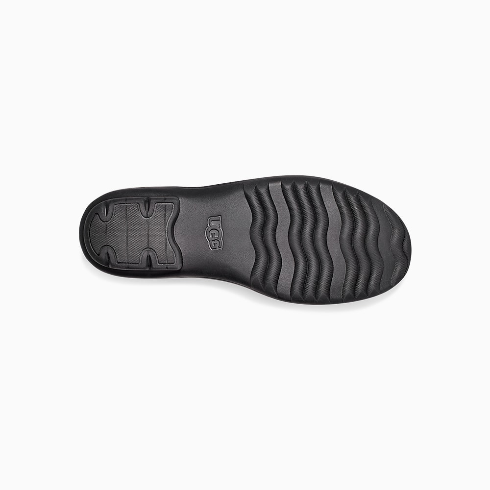 image_81f6ff6f-7777-4f51-9093-e9b21388f676