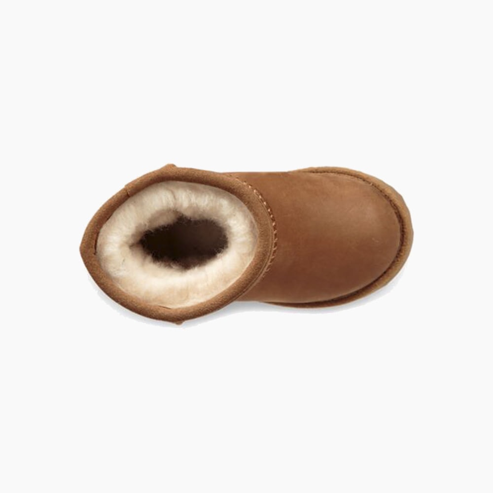 image_895f9484-86e9-4ce6-ab24-72de65f95226