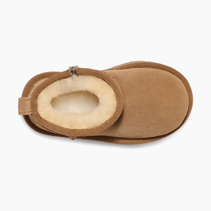 image_dd12b710-3f74-402b-ae54-a71655e49985