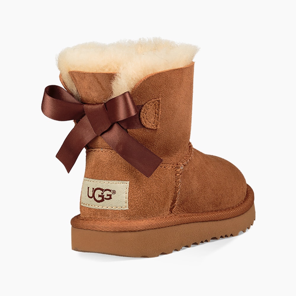 image_10cfdcc5-68d8-42df-be51-ae0e3cf15192