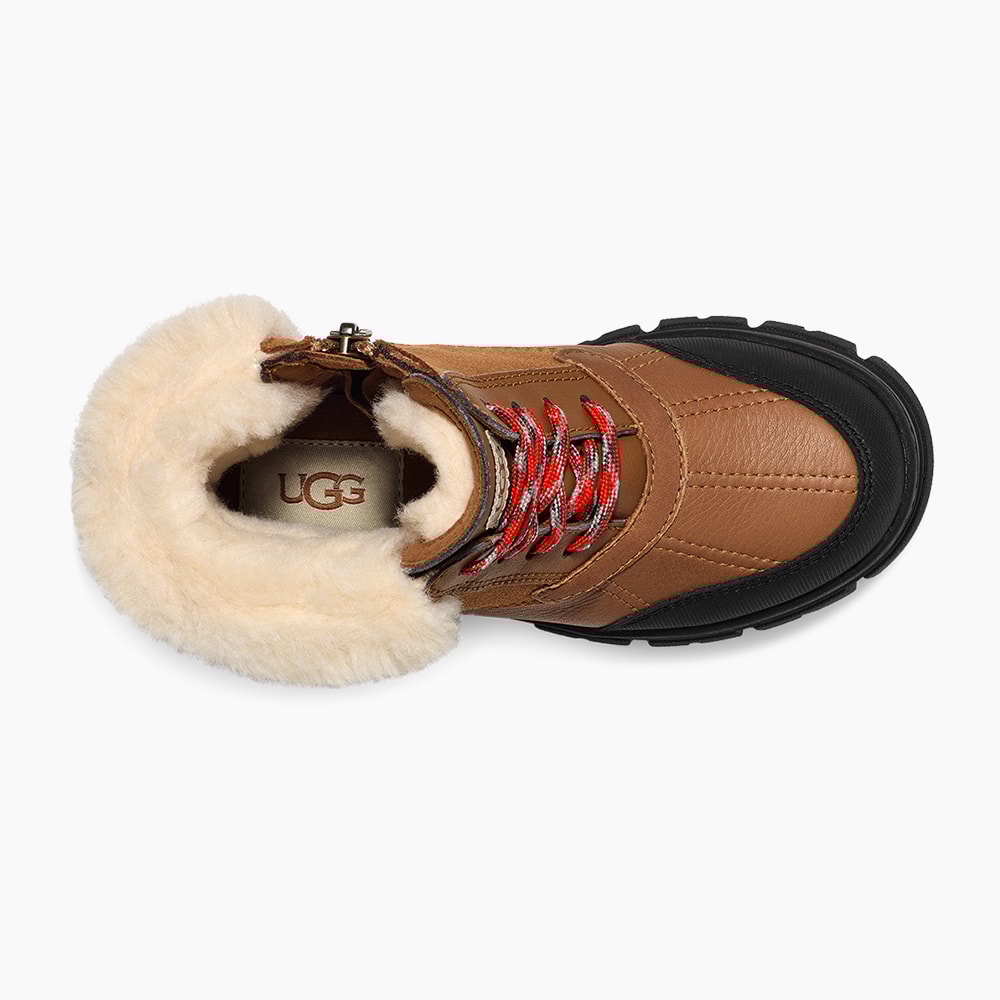 image_8ea25bbd-8d3e-40a5-a0e9-faba7fbff1c8