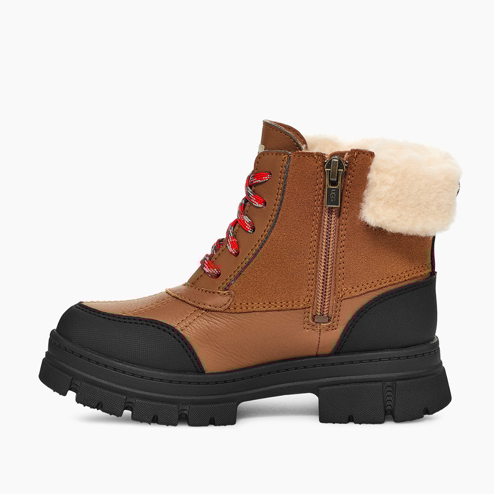 image_1b9aa351-d132-4188-83e6-0ce16d6b5c73