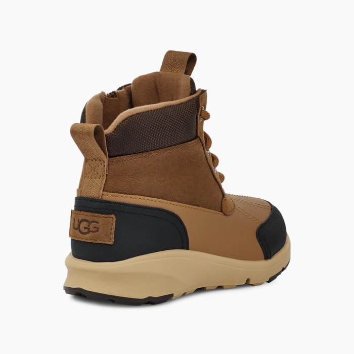 image_20bb7d87-8329-4ec5-bf1f-d90b3853ff32