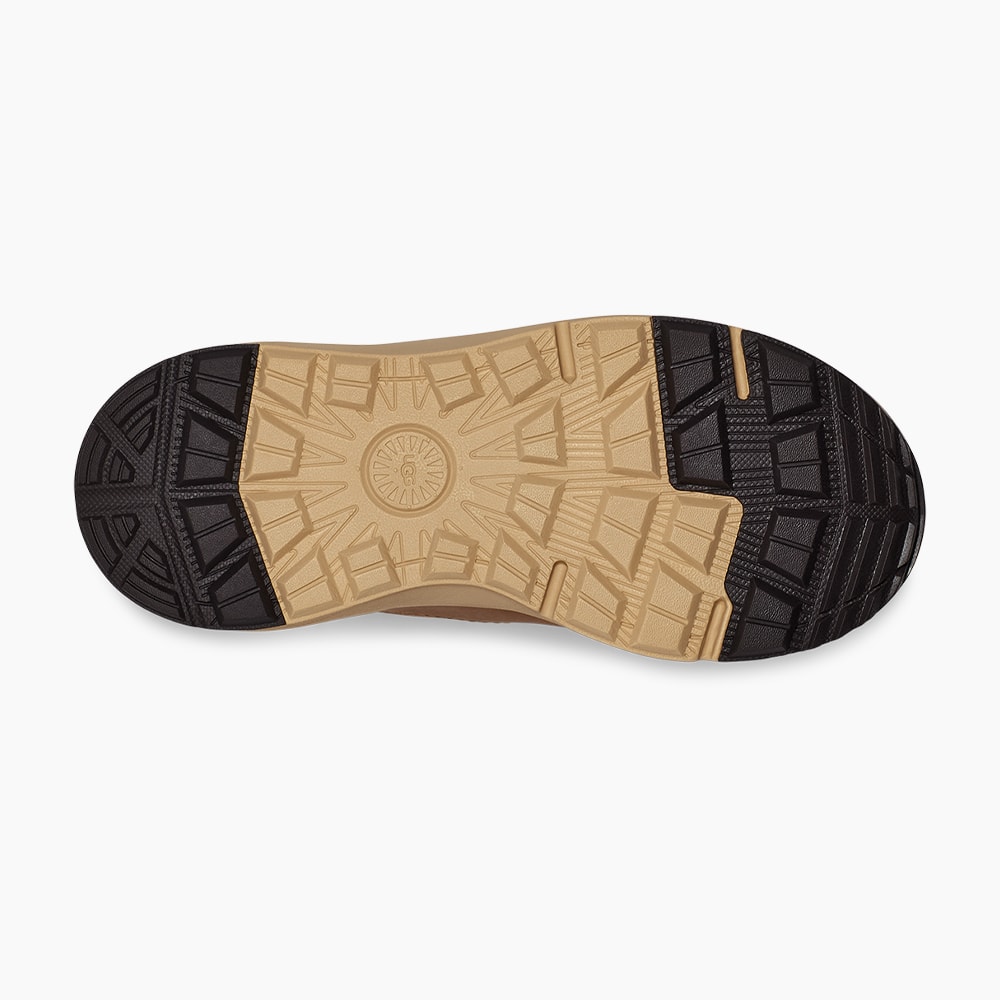 image_ffde35d4-9160-4f20-a19b-50510400c29d