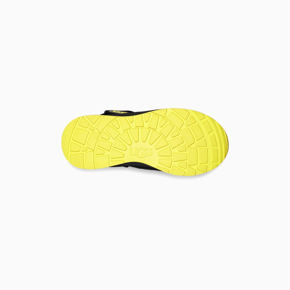 image_393aaa6c-3e1e-4628-8d65-5d934cc10bde