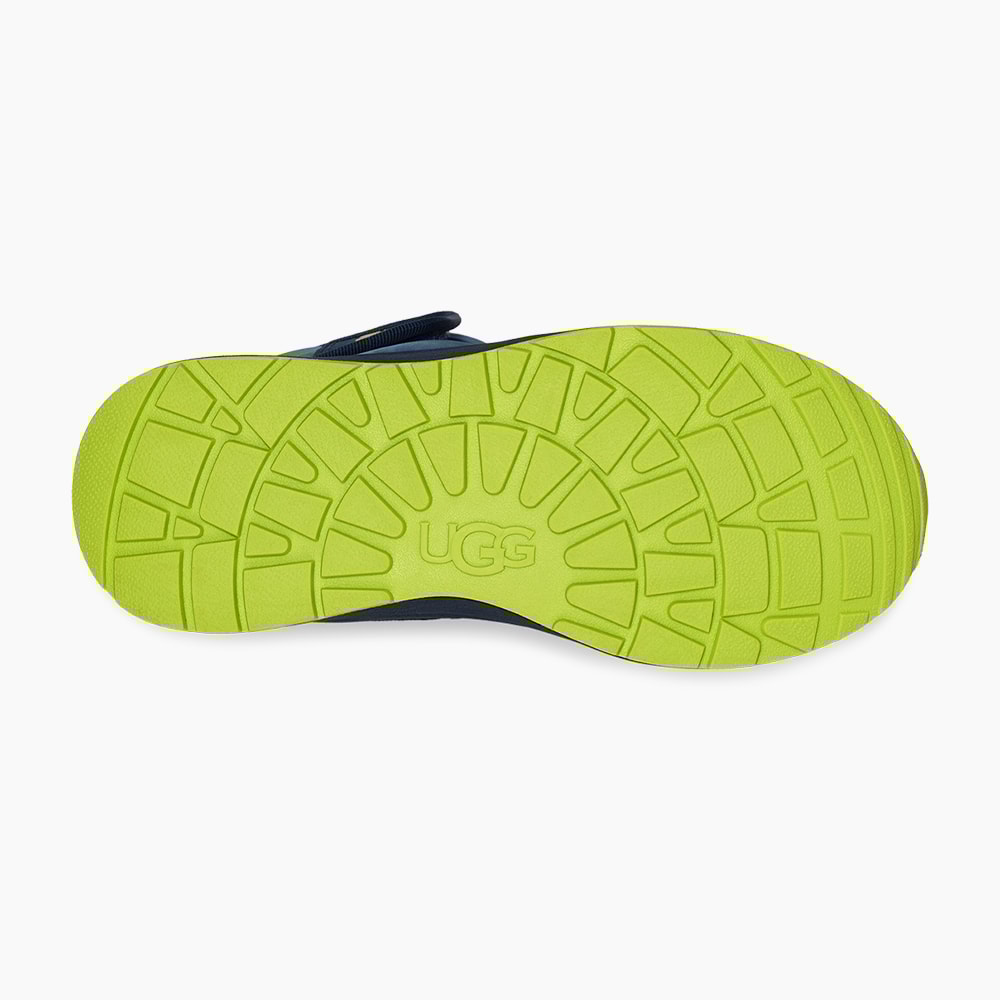 image_2a23bbb5-17cb-4255-8a60-a59351061b81