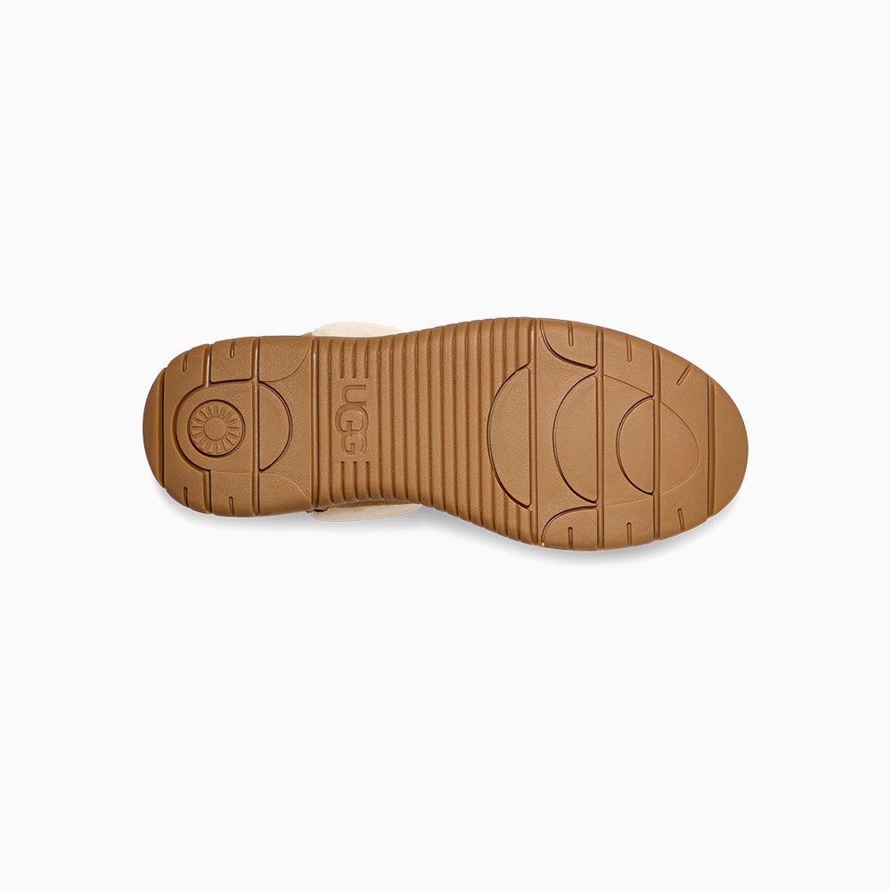 image_e1c9ca2b-2b3a-4da3-a659-349edf9165ce