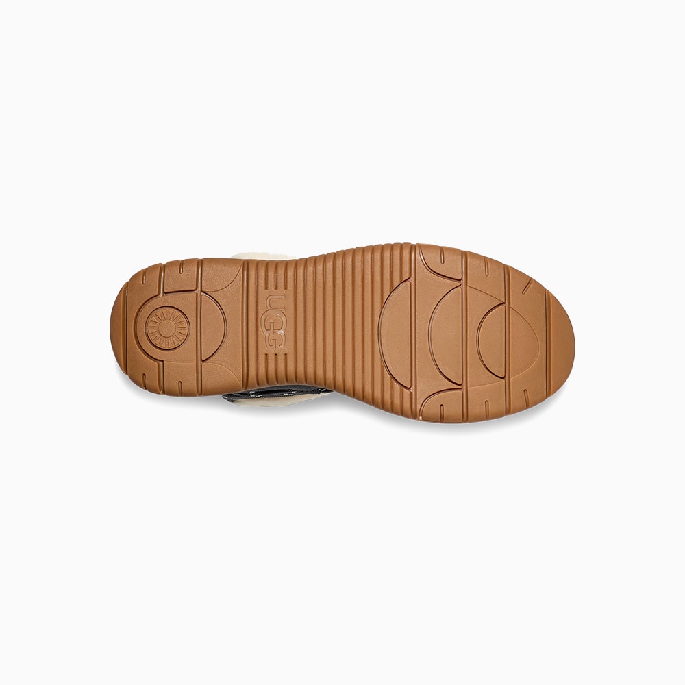 image_e0c12613-db03-44c3-a3b2-bfa3ee8fbf33