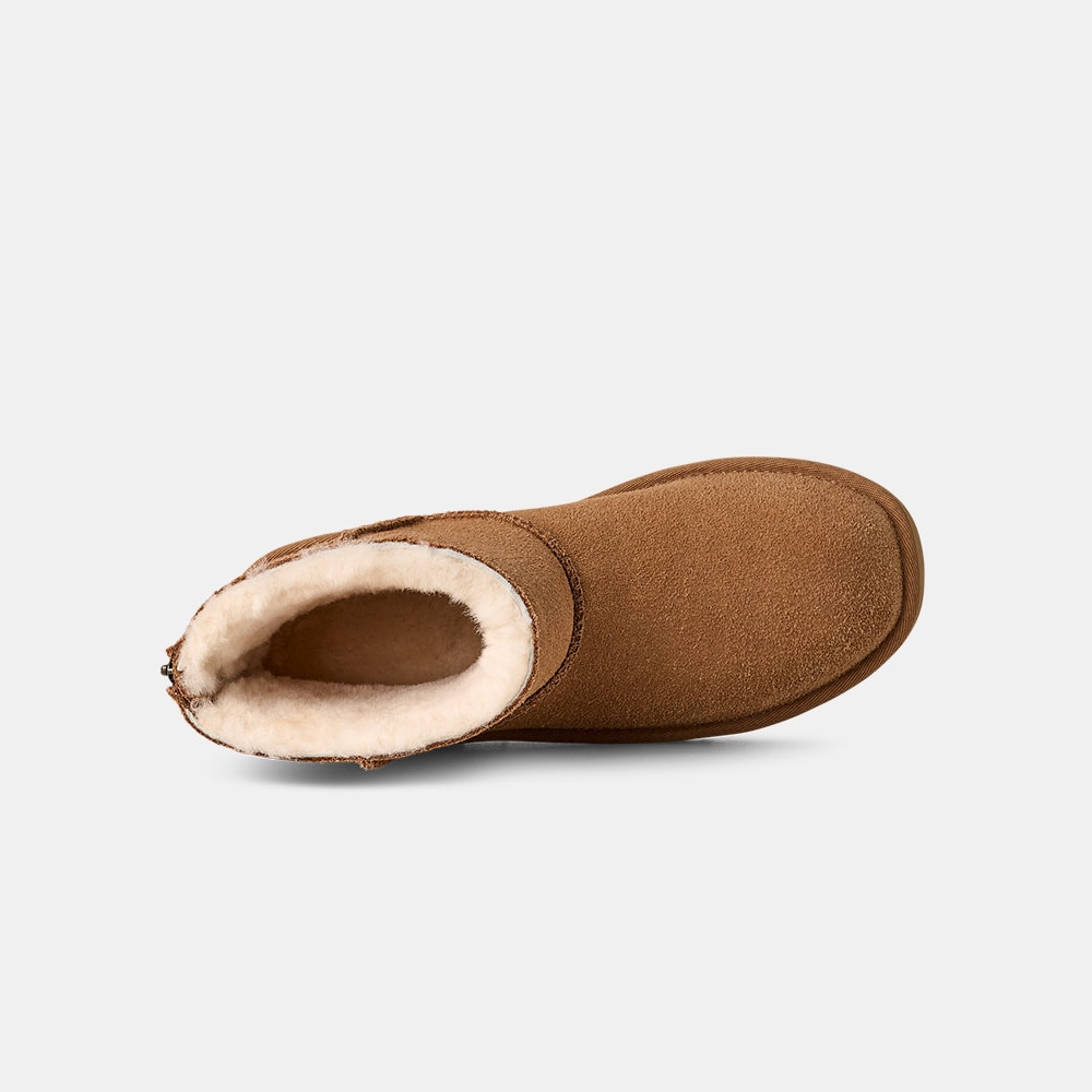 image_c371baad-88e4-4864-b61e-63e8132ead89