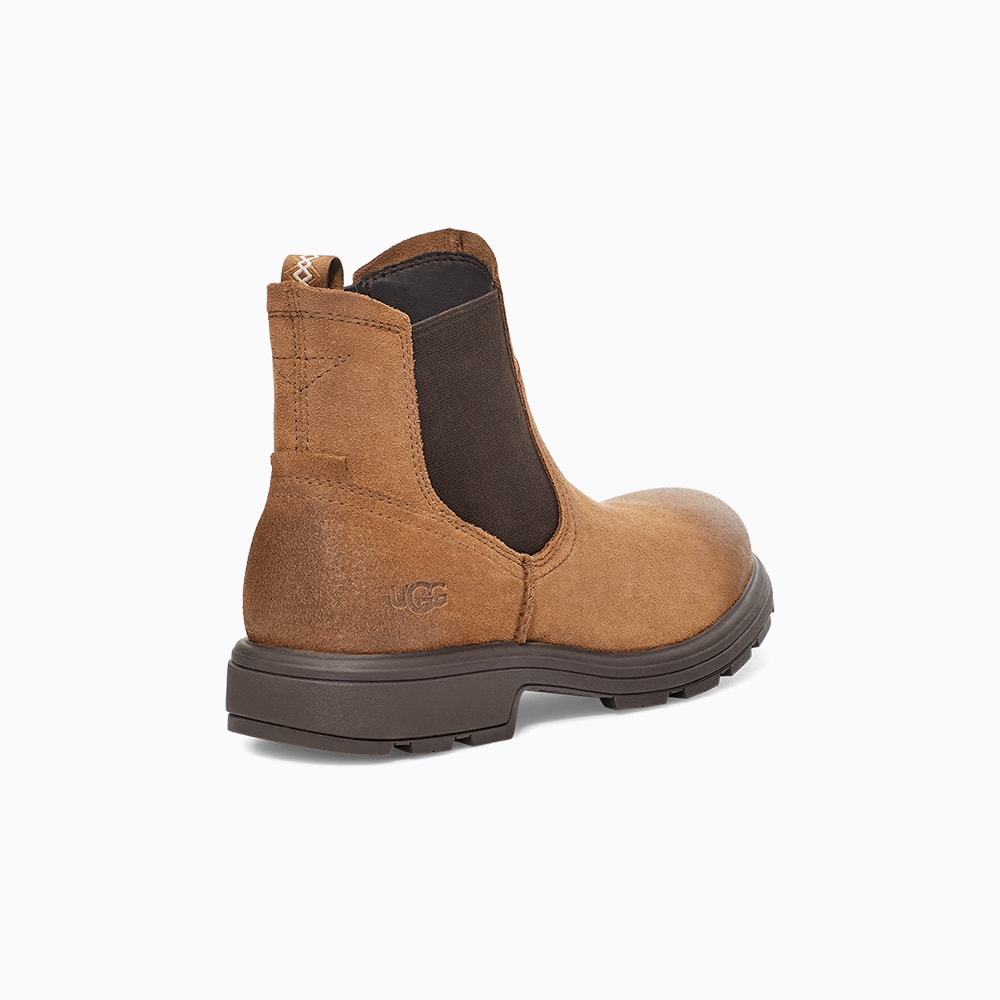 image_08a2d8f2-cd73-4e1c-b485-84d935b45881