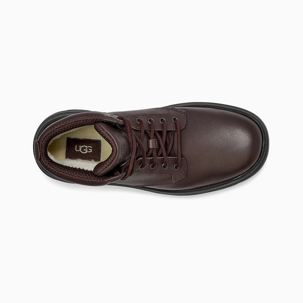 image_24e49e3f-69cc-4739-a67a-74f9db69c1c8