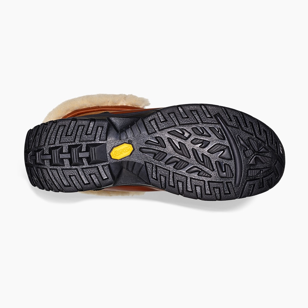 image_c8181e5b-513c-47c2-a91d-39a2bb9c0e80