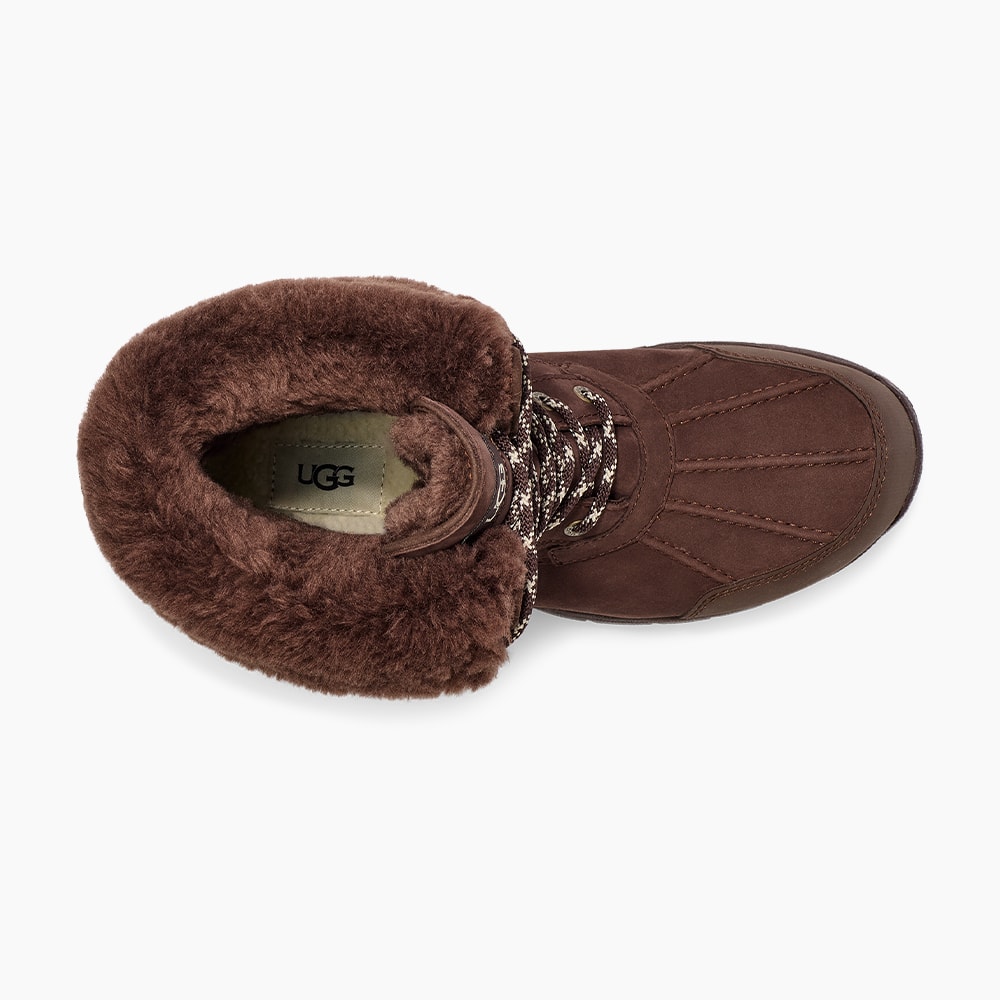 image_382d2679-925c-46c3-82aa-203fecd912f0